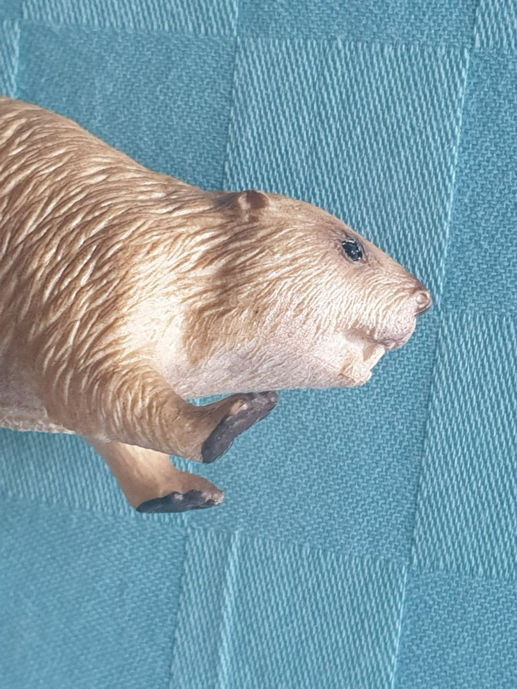Schleich Statuette: Biber Tier Schleich – Usato da Mörschwil venduto da spirspi 3