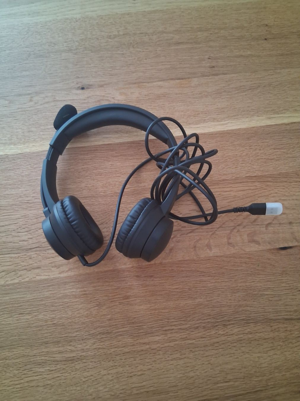 Trust Cuffie: 1 Stk. USB-Headset mit Mikrofon Trust – Usato da Liestal venduto da tota88