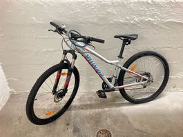Specialized Jynx Comp 650B, Mountainbike