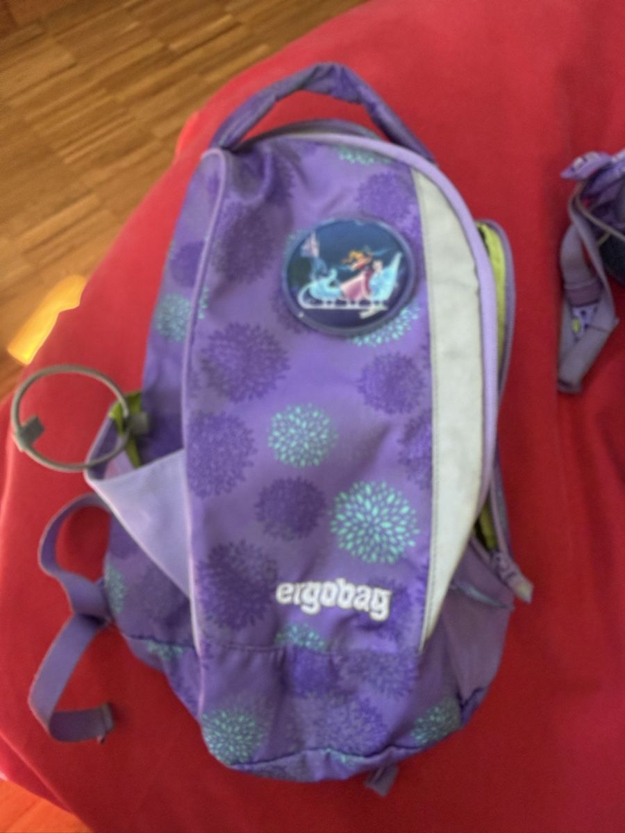 Ergobag Borse & Zaini: Ergobag Schulrucksack Set mit Zubehör, Top Zustand! – Usato da Baar venduto da cwuethrich 3