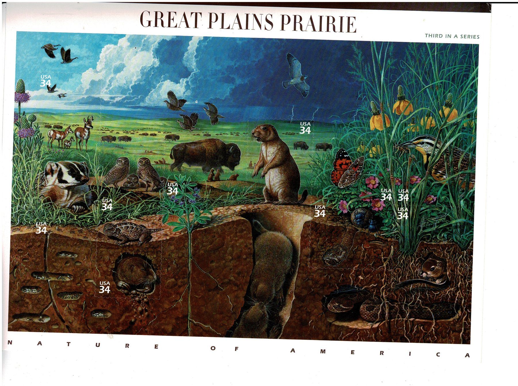 Tutti i francobolli: USA Great Plains Prairie  1 KB ** – Nuovo (secondo la descrizione) da Lausanne venduto da Whorvath