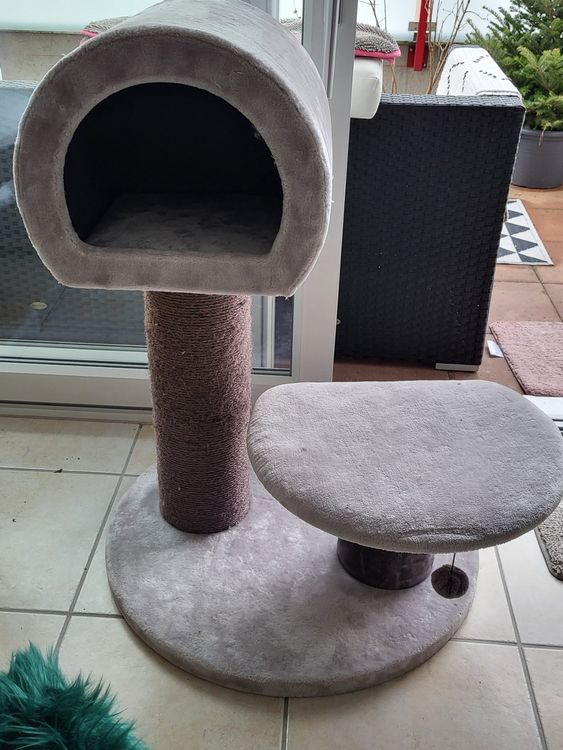 Katzen kratzbaum für Seniorenkatzen Kaufen auf Ricardo