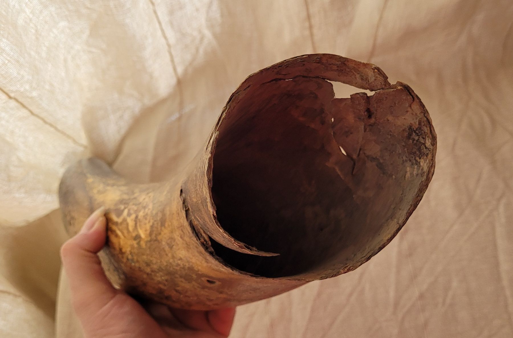 Tutte le decorazioni: Ancienne corne – Usato da Vevey venduto da lba_dd82 2