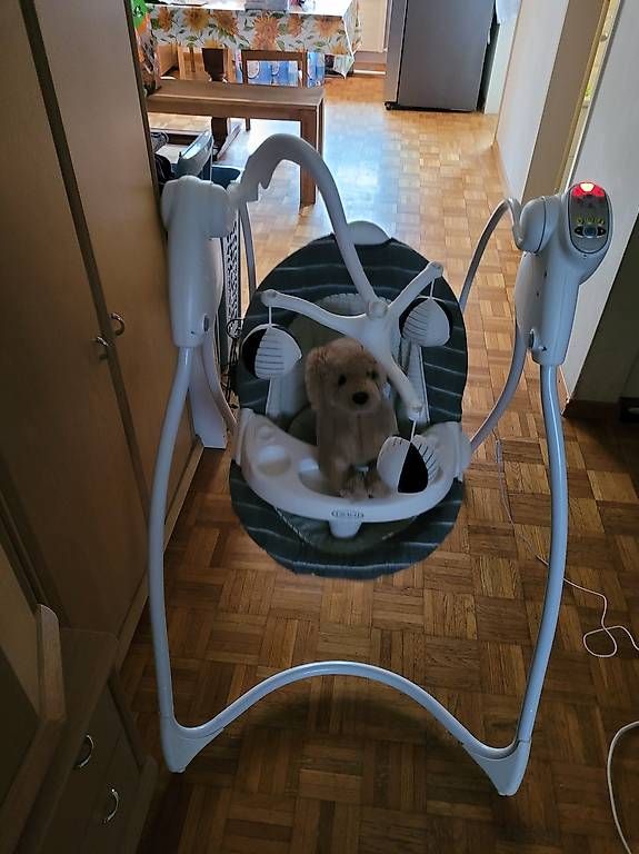 Bascules & balançoires: GRACO Babyschaukel – D'occasion à Wettingen par Conny.20 2