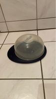 Käse/Tortenplatte mit Haube