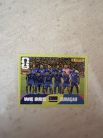 Panini cuw 13