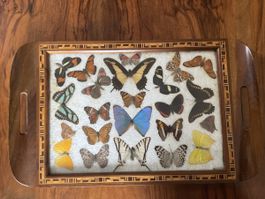 Plateau de service avec papillons, vintage 🦋🦋