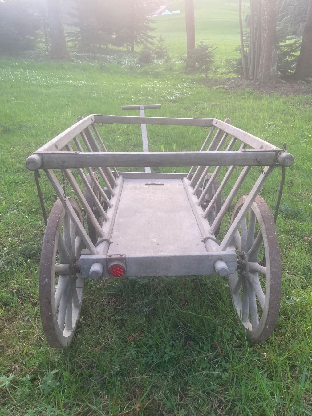 Articoli in legno: Leiterwagen – Usato da St. Gallen venduto da MarkoBoss 1