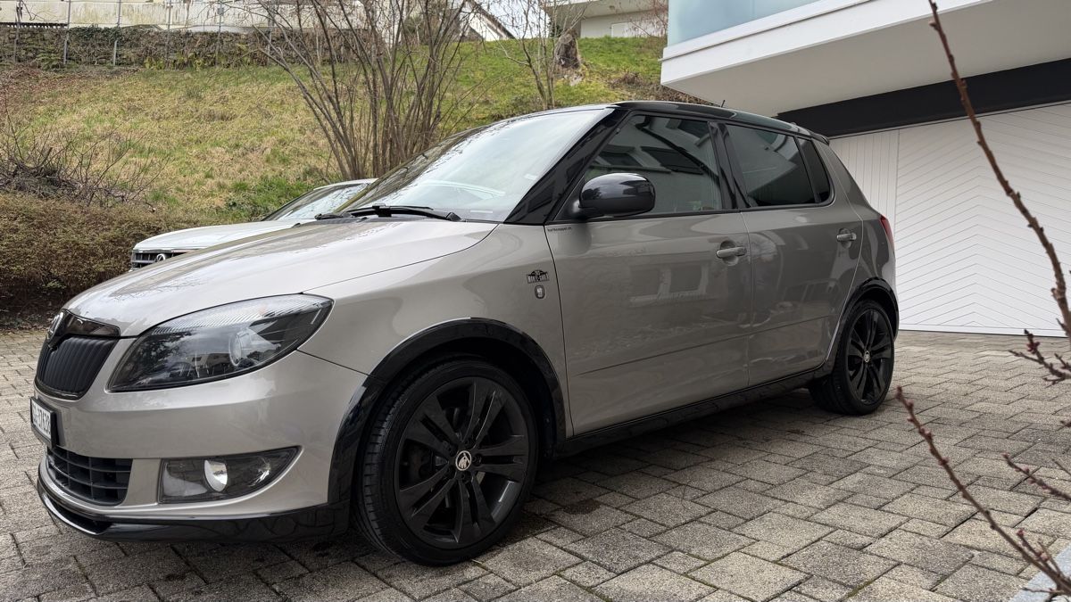 Faszinierend Skoda Fabia 12 Tsi Probleme Fotos