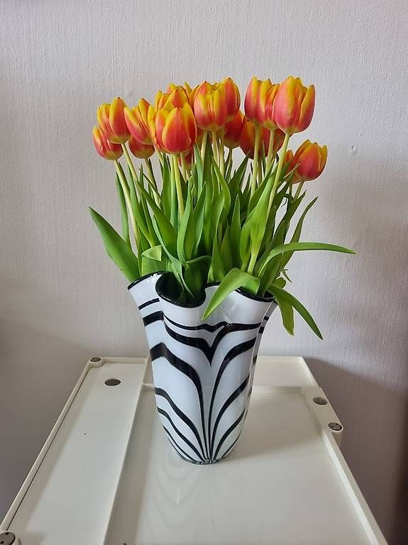 Vasi & Recipienti: Schöne Vase (Fazzoletti) Deko – Usato da Zürich venduto da cle_7zph 1