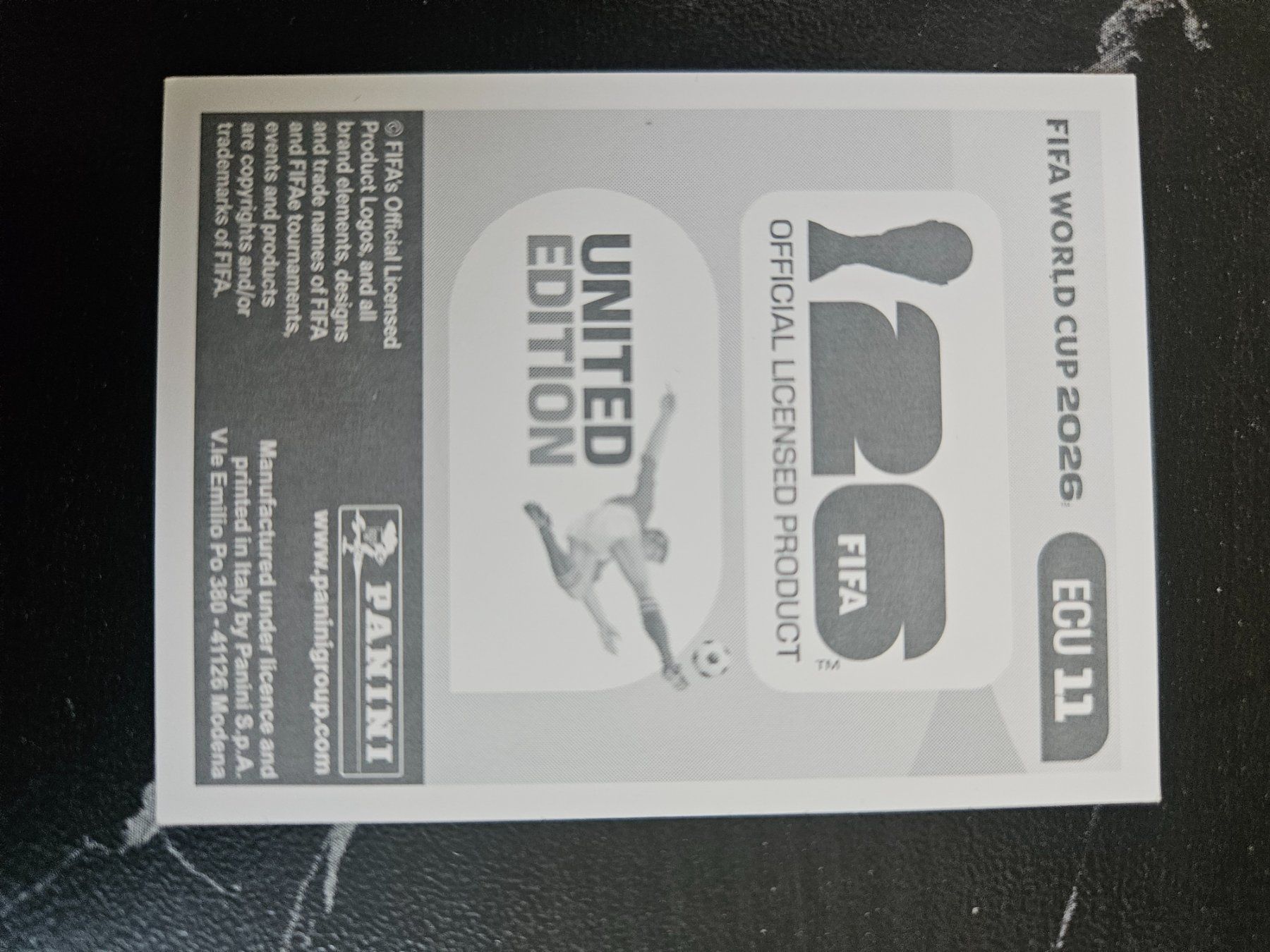 Panini Carte collezionabili: ECU11 – Usato da Würenlingen venduto da Dinli 1
