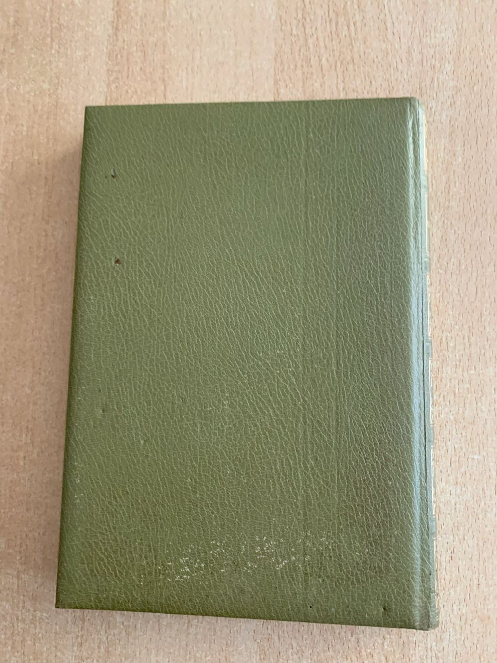 Livres: Camarque Avanti Verlag – D'occasion à Reinach BL par con_ync2 2