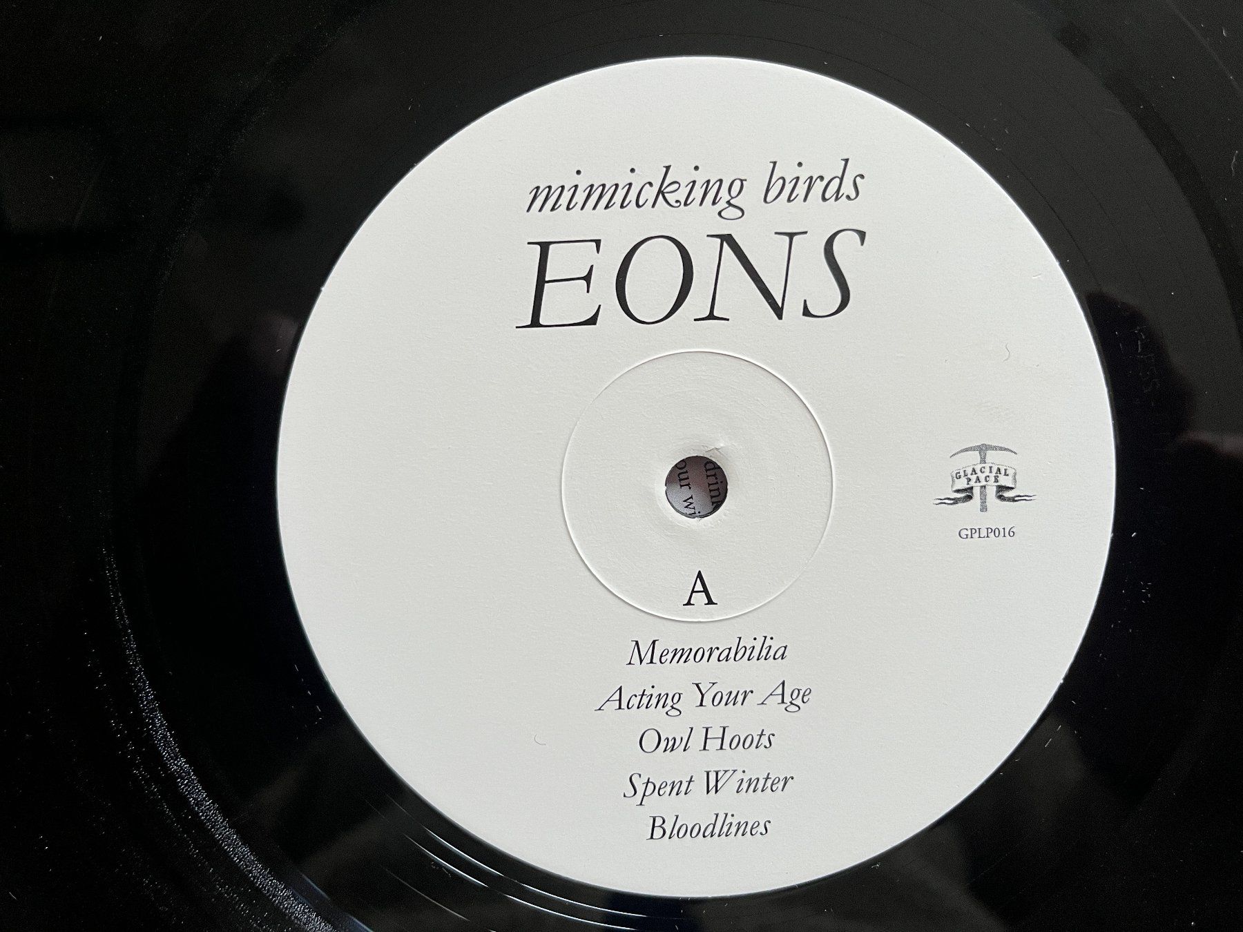 Dischi in vinile: Mimicking Birds - EONS Vinyl LP, Glacial Pace Recordings – Usato da Zürich venduto da Nieverge1 2