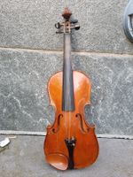 Geige violine