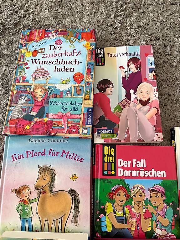 Libri: Tolle Jugendbücher – Usato da allschwil venduto da sophie141208 1