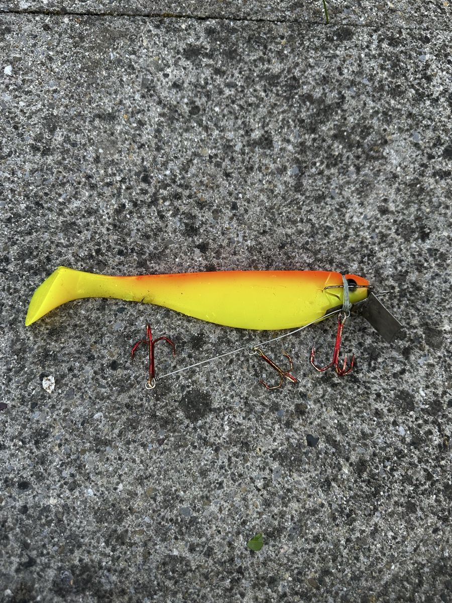 Esche: 5 Swimbait Gummifische – Usato da Steckborn venduto da bra_f7jy 2