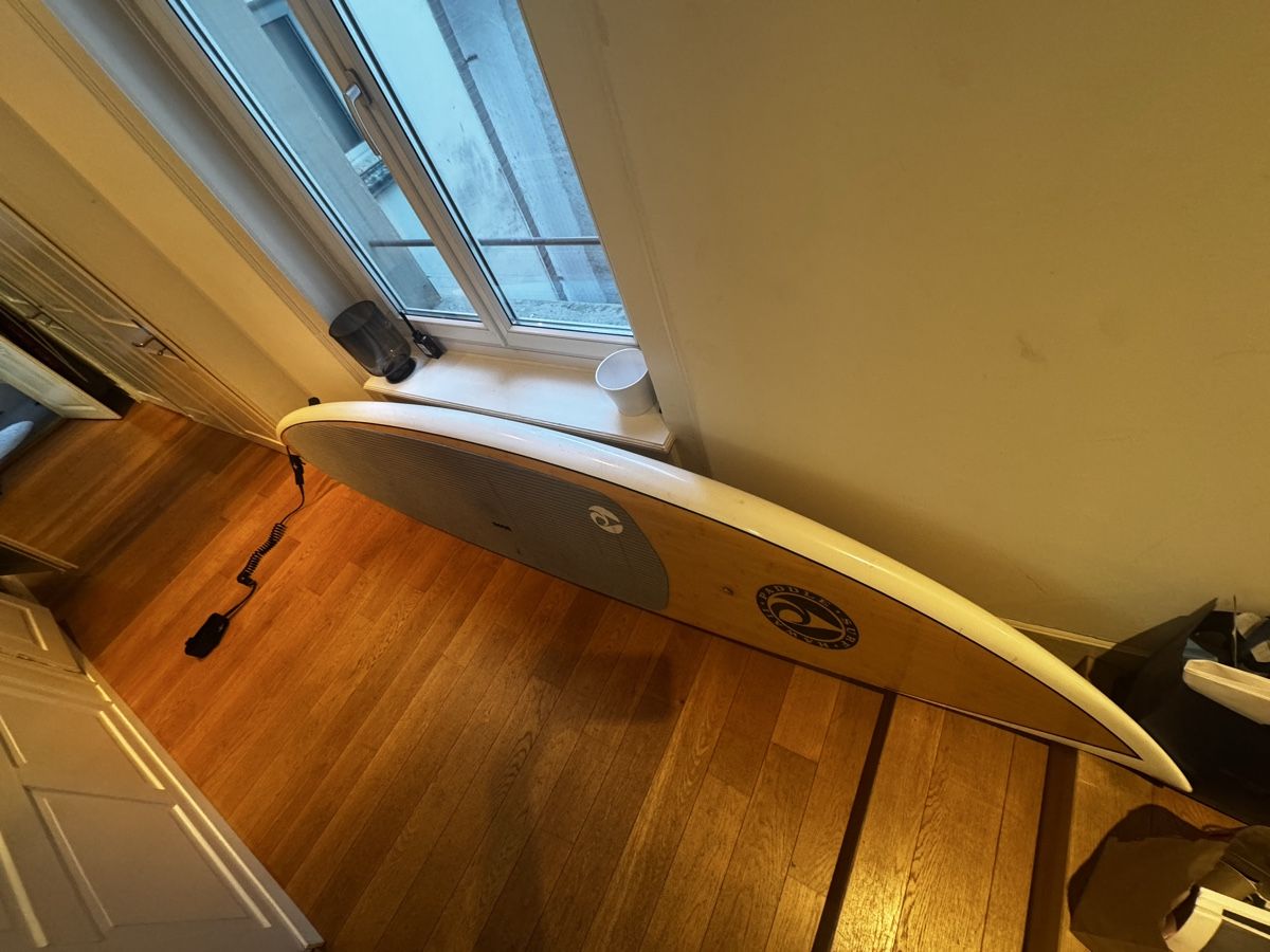 Tavole da surf e di nuoto: Stand Up Paddleboard (SUP) designes by Blane Chambers – Usato da Zürich venduto da kat_gdr7 5