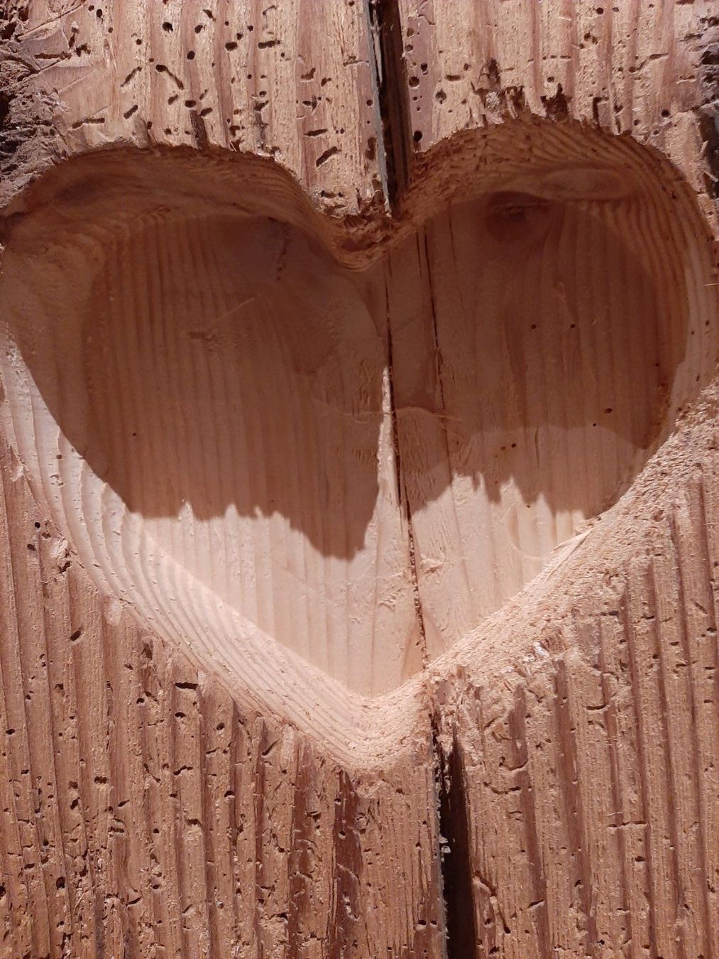 Holzartikel: Holzbalken  Altholzbalken – Gebraucht aus St Gallen von keller020 7