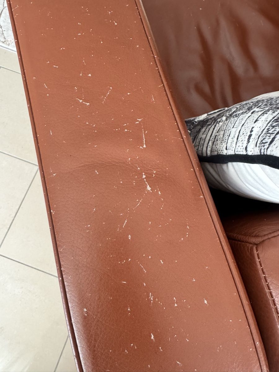 Poltrone: Fauteuil style Le Corbusier  – Usato da Nyon venduto da emx0xc 2