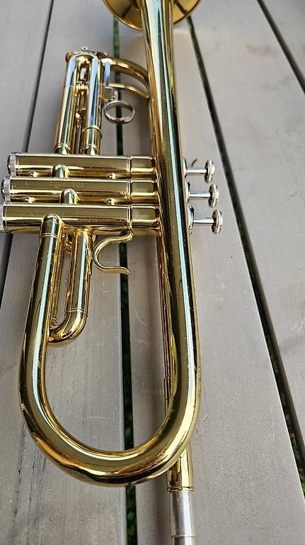 Strumenti musicali: Tromba Roy Benson – Usato da Lumino venduto da Doni_dp 3