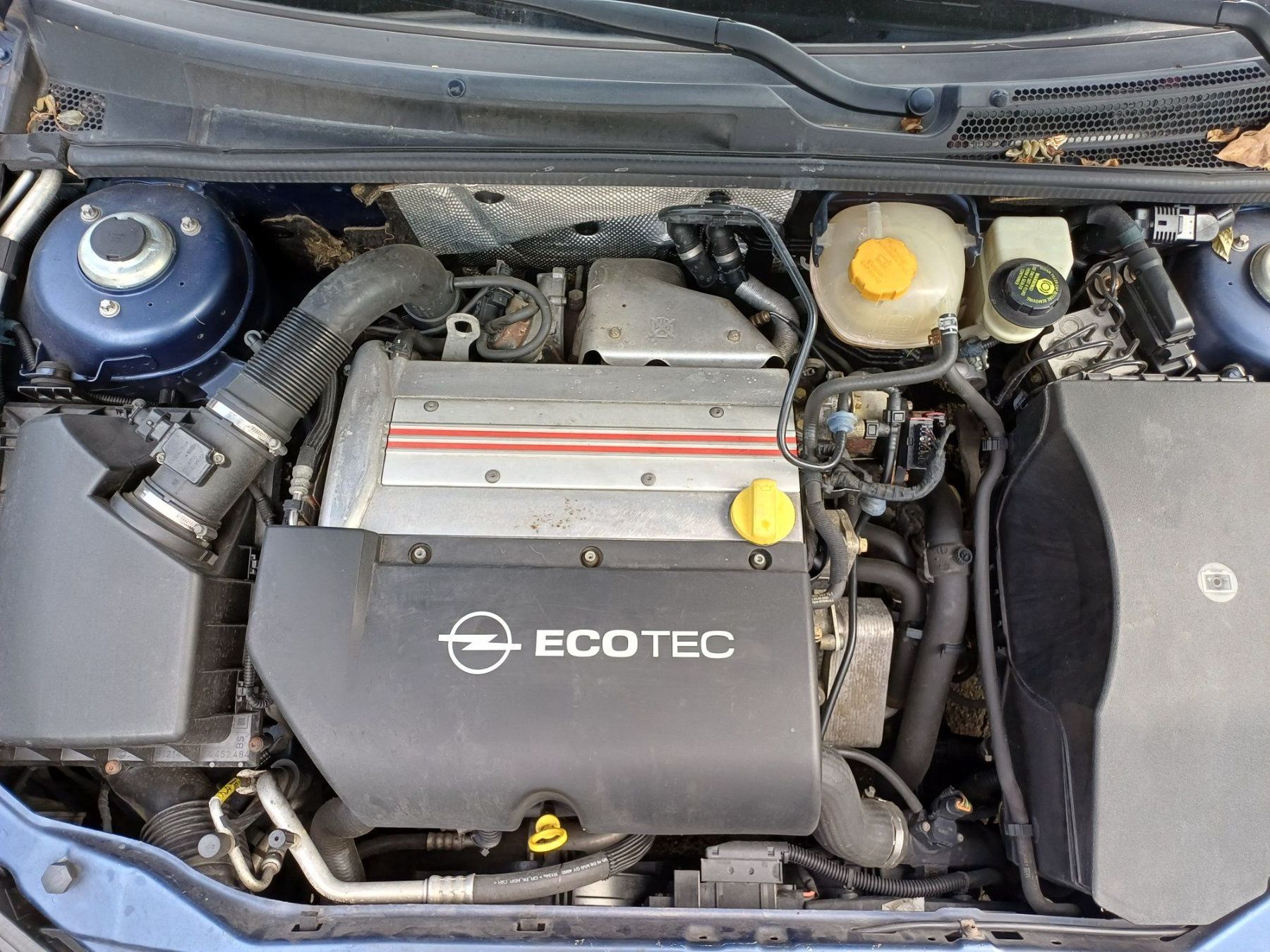 Opel Autos: Opel Vectra 2.0T Cvan. für Export oder Teile – Gebraucht aus Altwis von gammon18 6