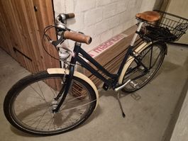 Stadtvelo Damen Ibex easy Day