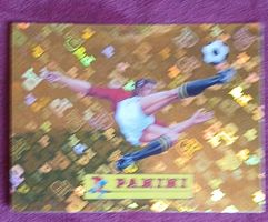 Panini Sammelbild Fussball guter Zustand