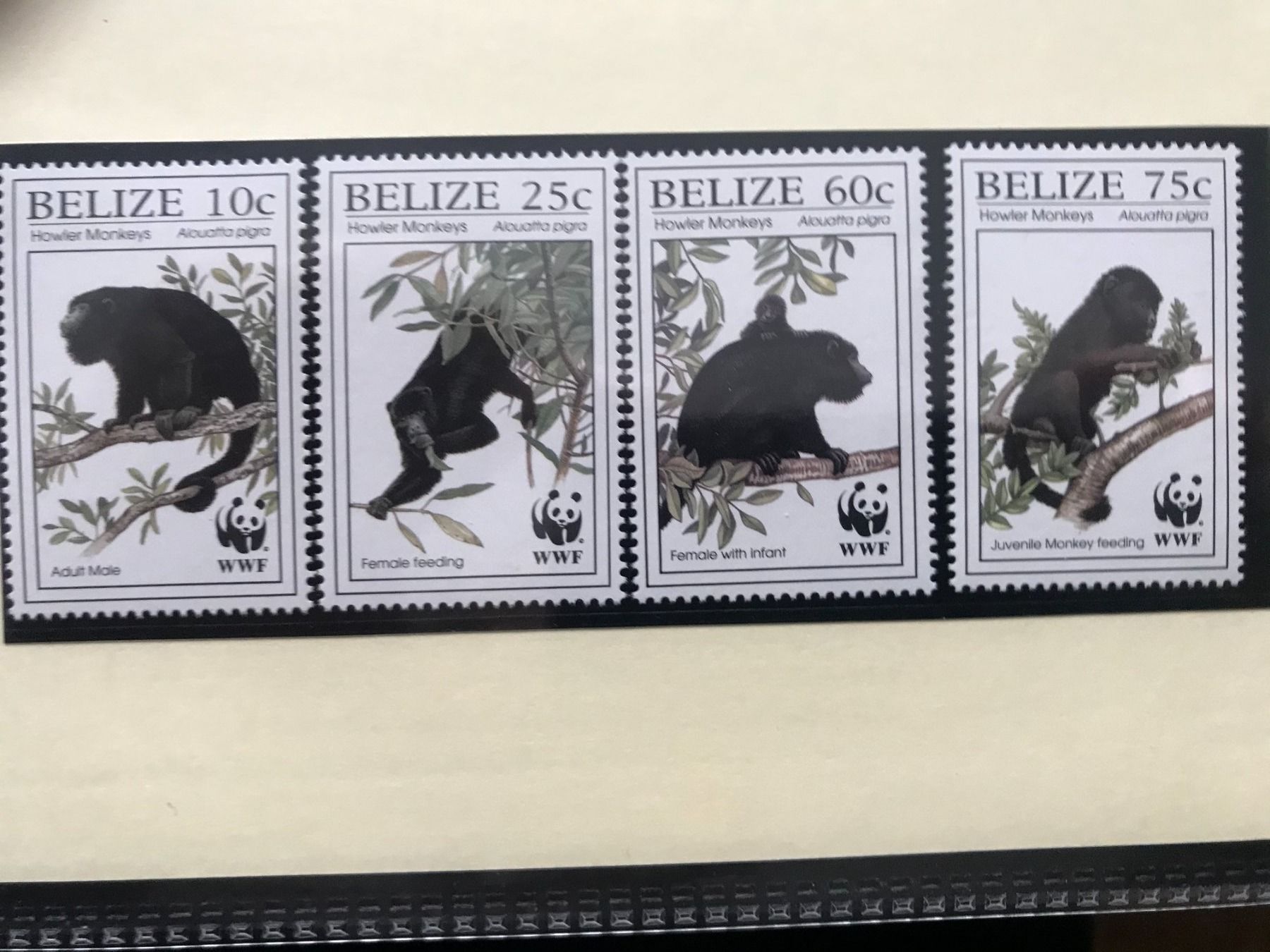 Tutti i francobolli: Belize 1997 WWF Satz Guatemala-Brüllaffe postfrisch – Nuovo (secondo la descrizione) da Liestal venduto da schnueps