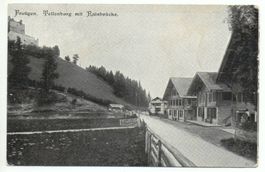 FRUTIGEN Tellenburg mit Rainbrücke - gel. 1905 von Spiez
