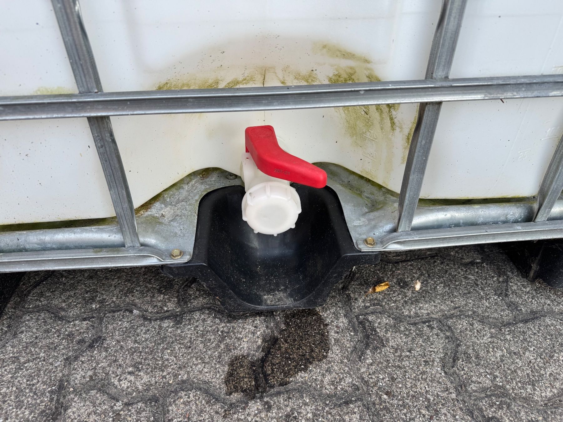 Abbeveratoi e trogoli: IBC Container 1000L gebraucht mit Hahn und Deckel – Usato da Dotzigen venduto da JD73 2