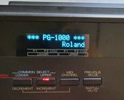 Oled Display für Roland PG-1000