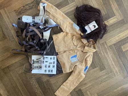 Hansi Cosplay Attack of Titans
