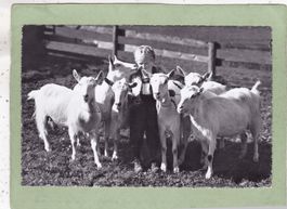 Kind mit Ziegen 1957