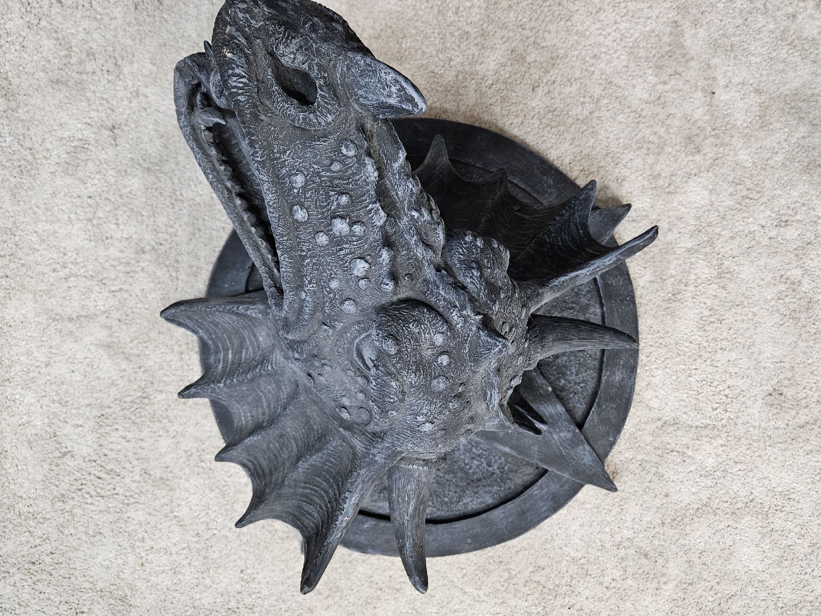 Statuette: Drachenkopf 60cm – Nuovo (secondo la descrizione) da Küsnacht ZH venduto da marinalix 1