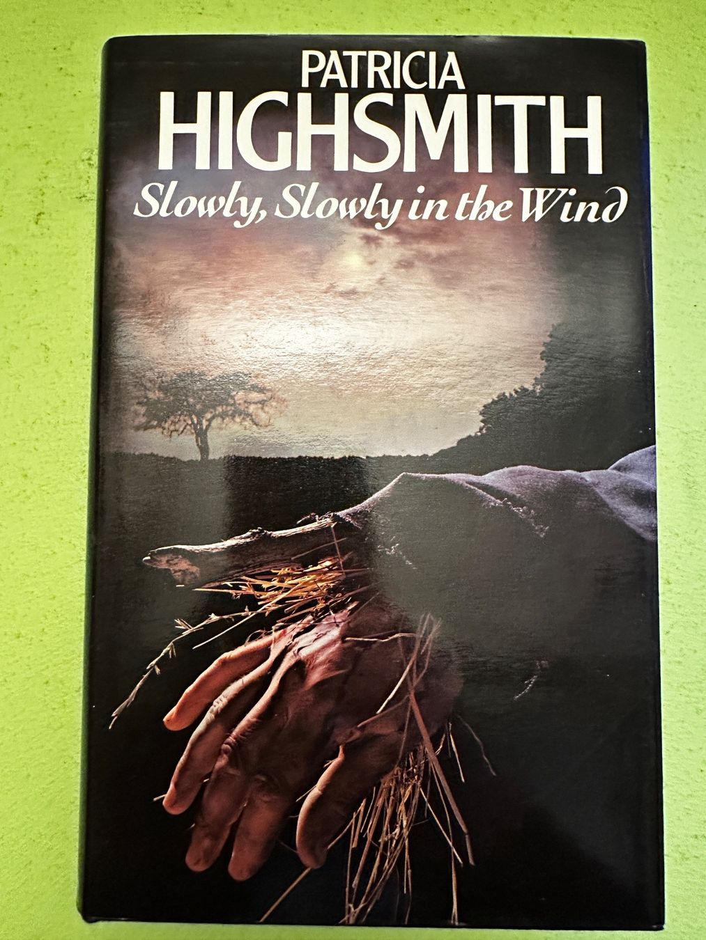Libri: Patricia Highsmith: Slowly, Slowly in the Wind. – Usato da Zürich venduto da allp