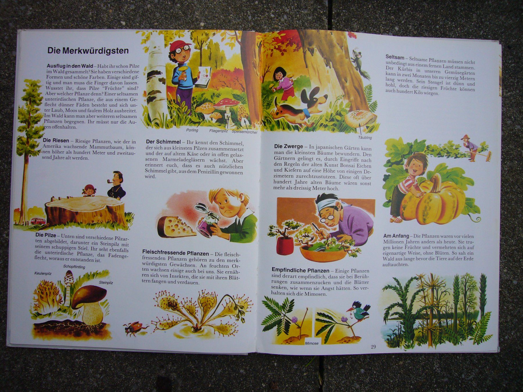 Libri: Kinderbücher / Wissensbücher – Usato da Weinfelden venduto da Frosch467 1