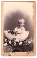 Fotografie Gysi, Co., Aarau, blondes Kle