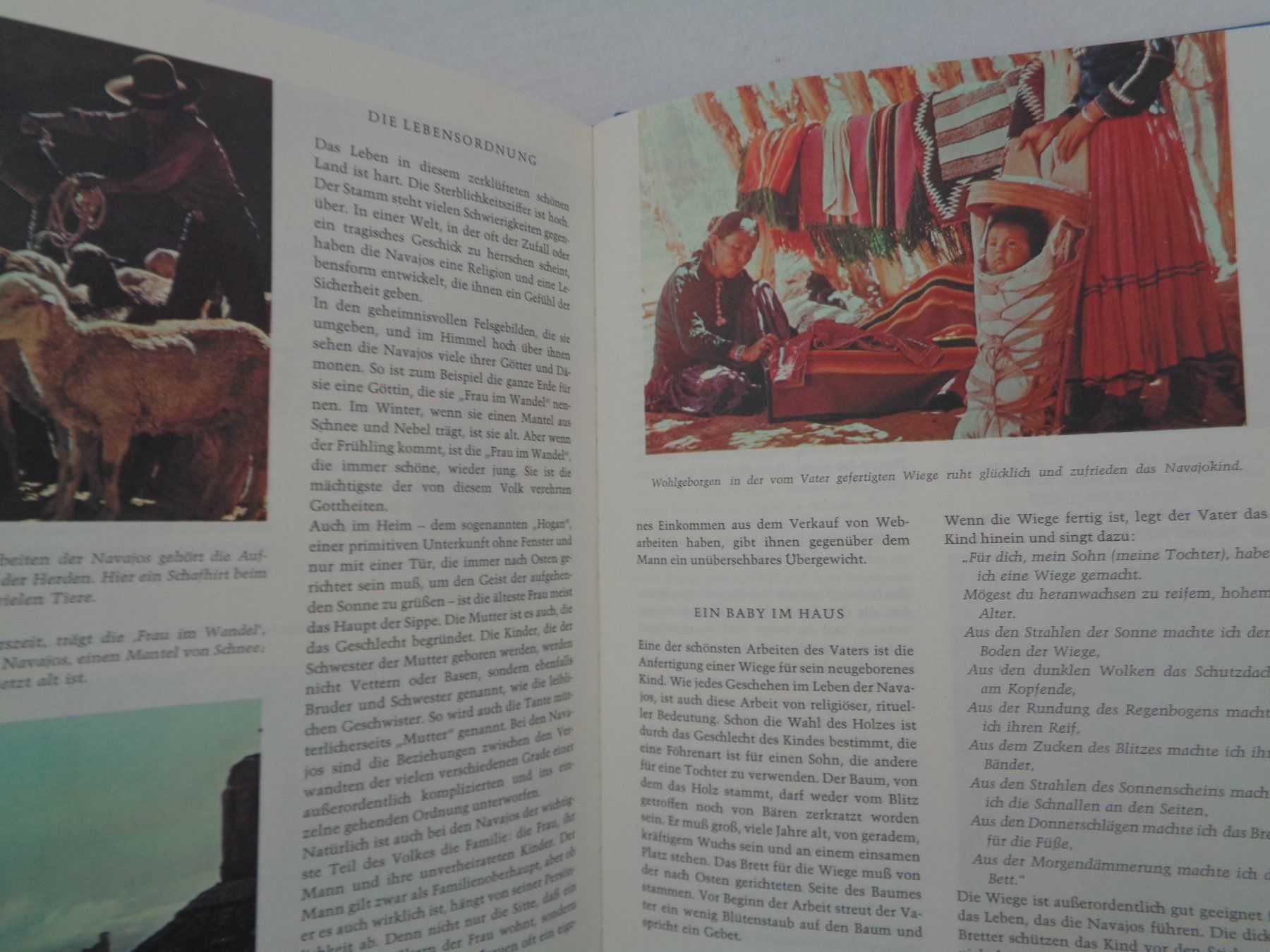 Libri: Walt Disneys - Abenteuer Amerika – Usato da Chur venduto da omonia 3