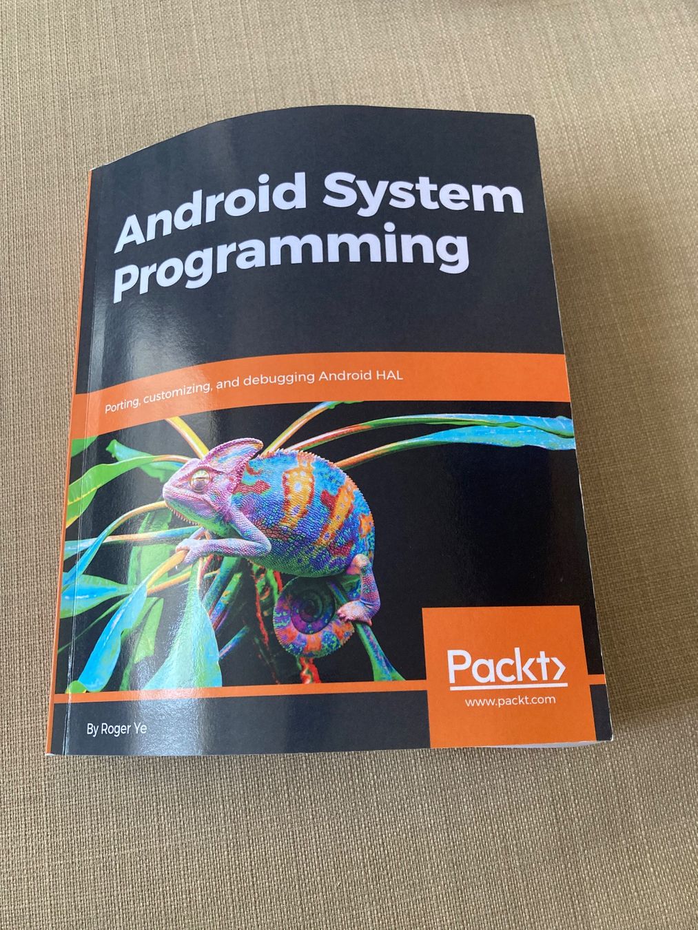 Libri: Programming Books & Other - Price per piece – Usato da Luzern venduto da AM2nd 1
