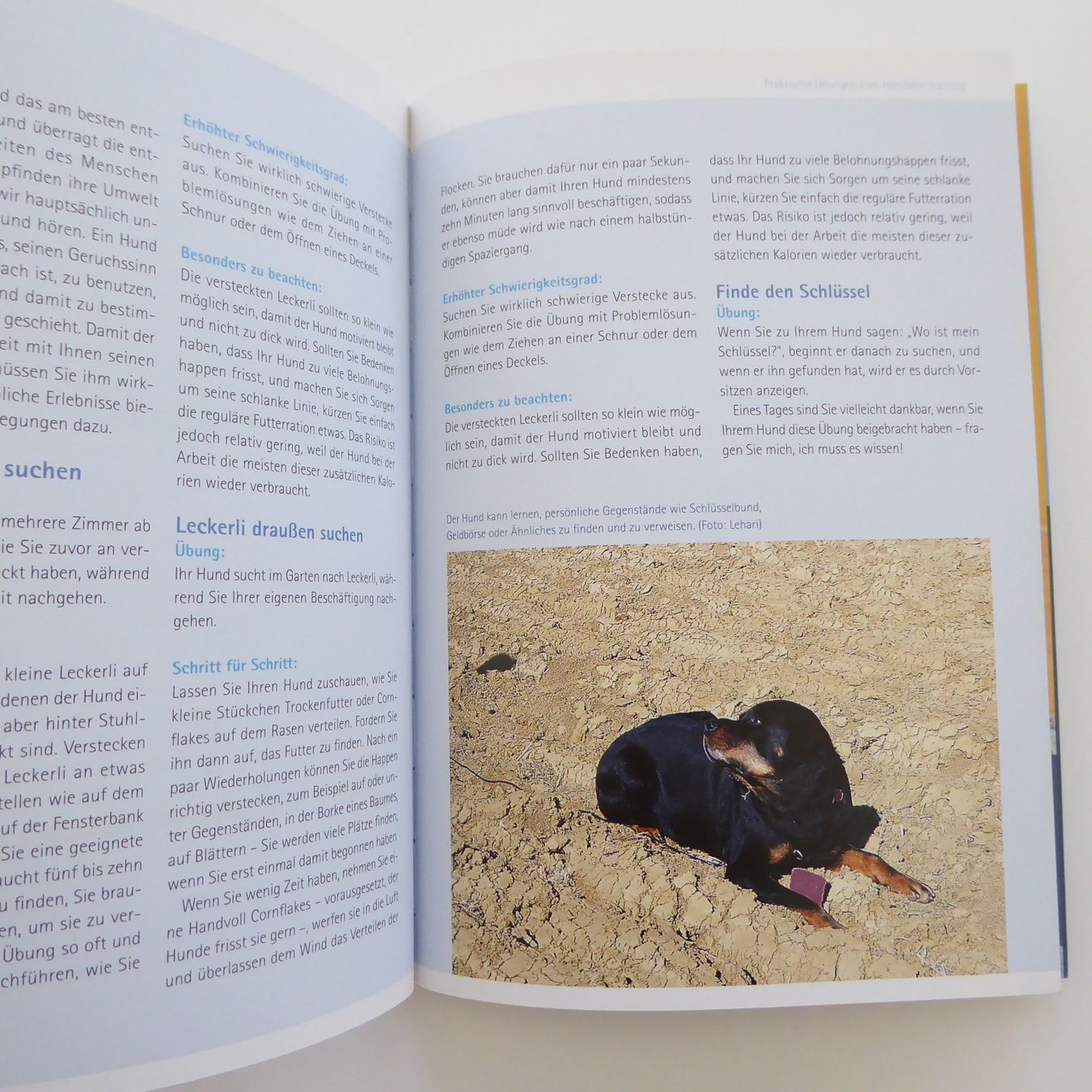 Libri: Mentales Training für Hunde – Usato da Basel venduto da Kunterbunt12 7