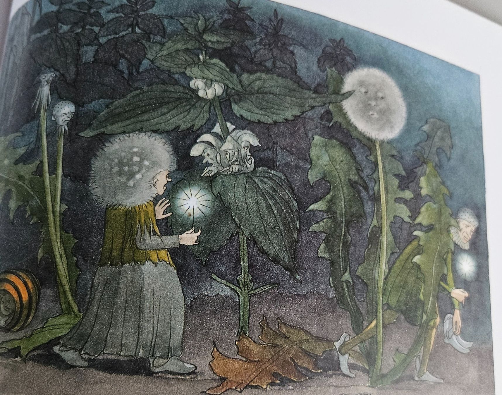 Libri: Blumen-Märchen von Ernst Kreidolf, Bilderbuch, – Nuovo (secondo la descrizione) da Uster venduto da Sonnenblume212 4