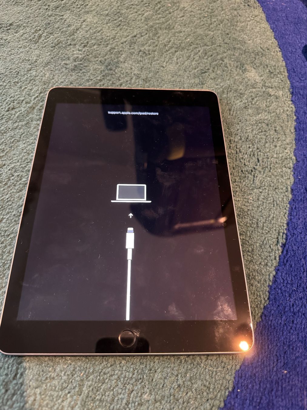Apple Tablet PC: iPad 6. Generation – Defekt aus Adliswil von Busys