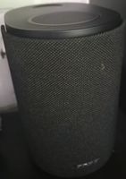 Bose Ultra Speaker