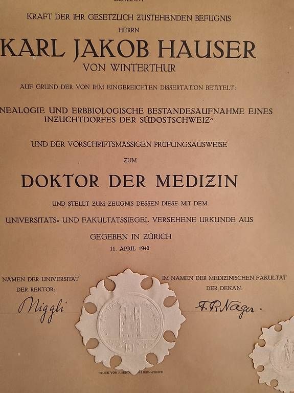 Trattori: Original Doktorurkunde  – Usato da Bauma venduto da Schrinerlady91 1