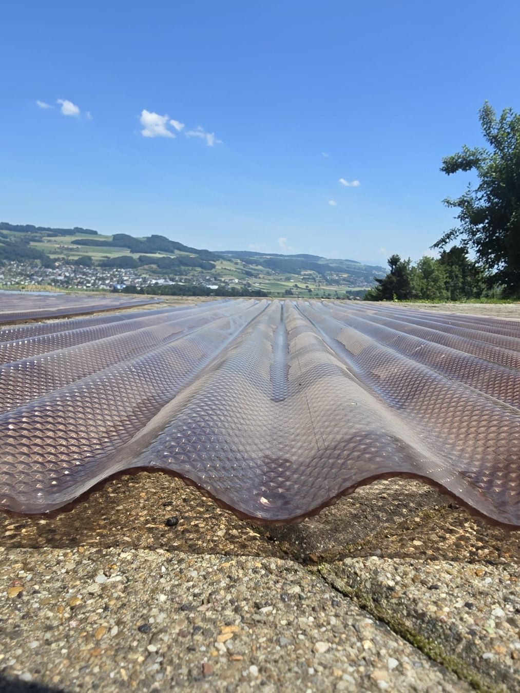 Servierplatten: 2 Stk SINUS Wabenstruktur Blech in der Farbe bronze – Gebraucht aus Winikon von Profi-Line 1