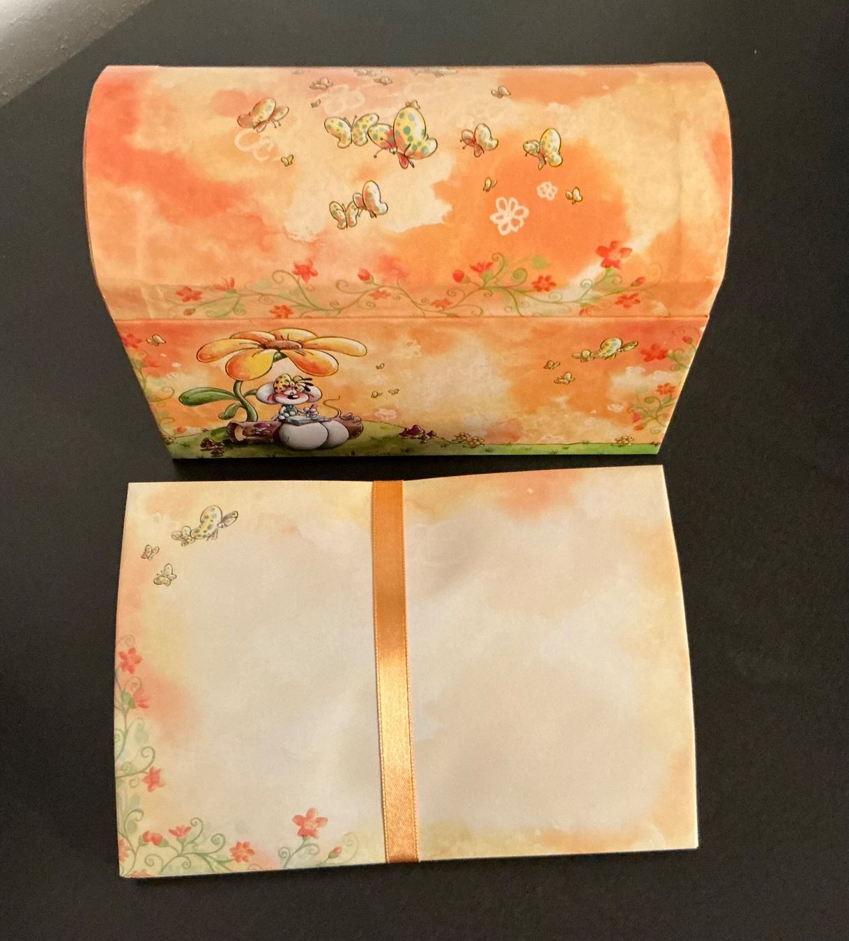 Carta: Diddl Briefpapier Box – Nuovo (secondo la descrizione) da St. Margrethen SG venduto da vista23 2