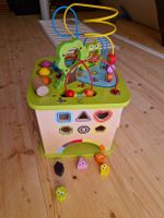 Hape Motorikwürfel Kleine Tierchen, gut gebraucht