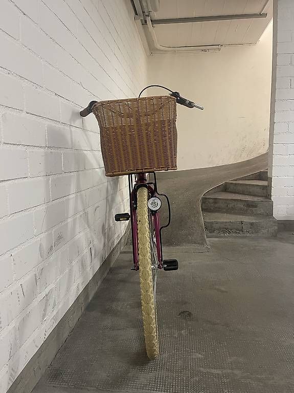 Biciclette: Schönes Damenvelo mit 2 Körbchen – Usato da Basel venduto da mat_5p7c 2