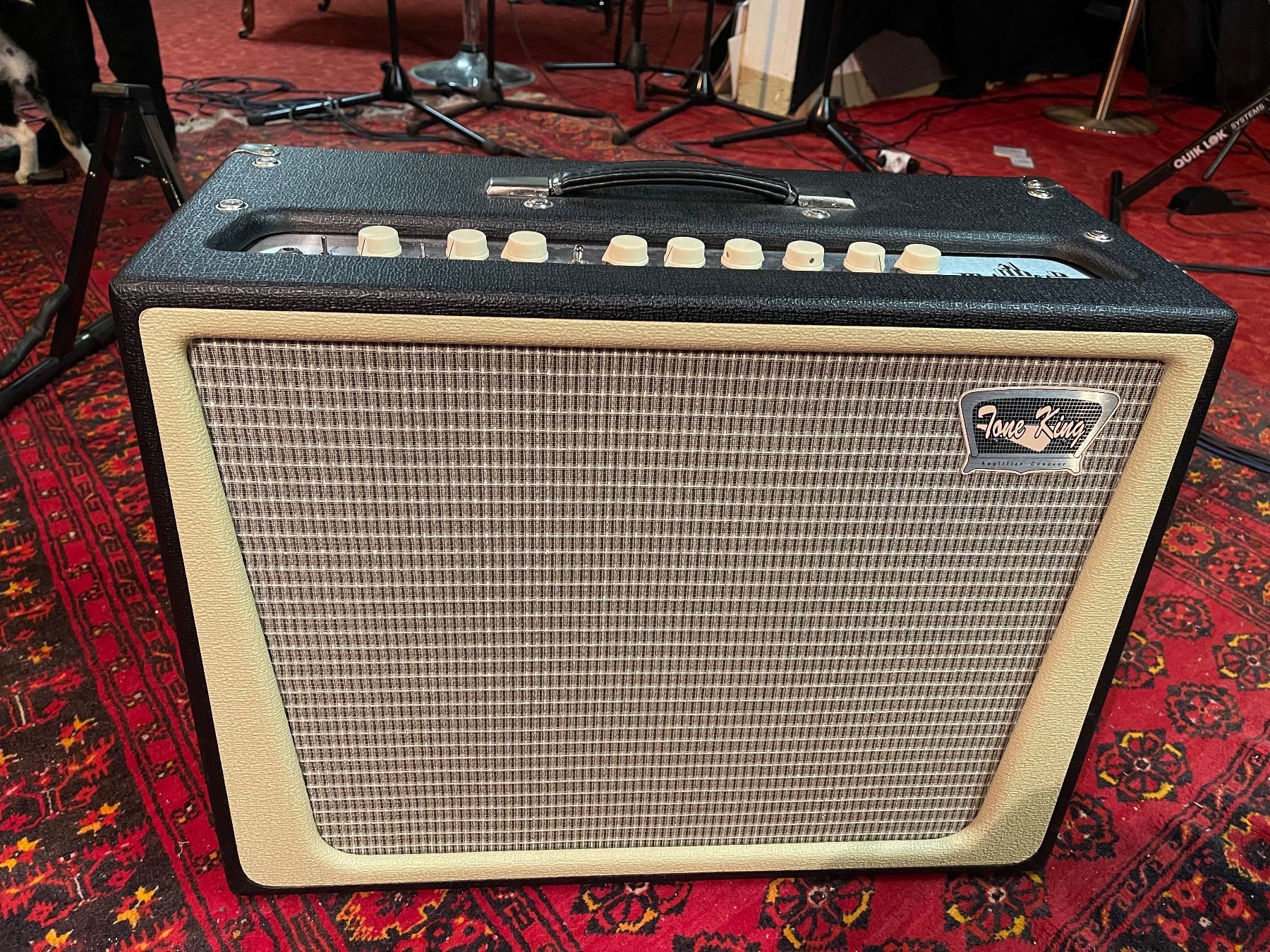 Strumenti musicali: Tone king Metropolitan – Usato da Niedergesteln venduto da die_7dpv
