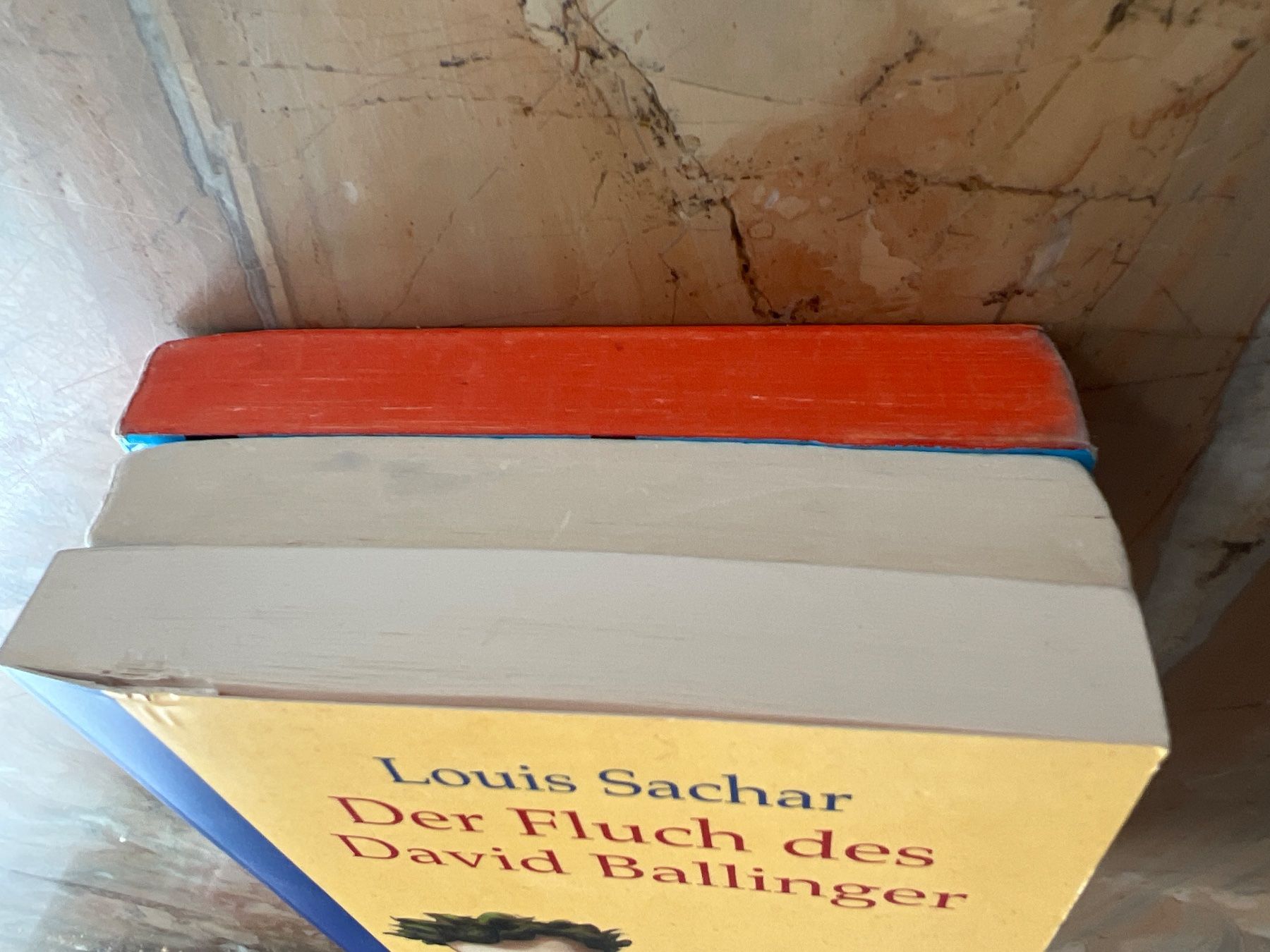 Bücher: 3 Bücher Louis Sachar: Löcher / Bradley / David Ballinger – Gebraucht aus Winterthur von britsi 8